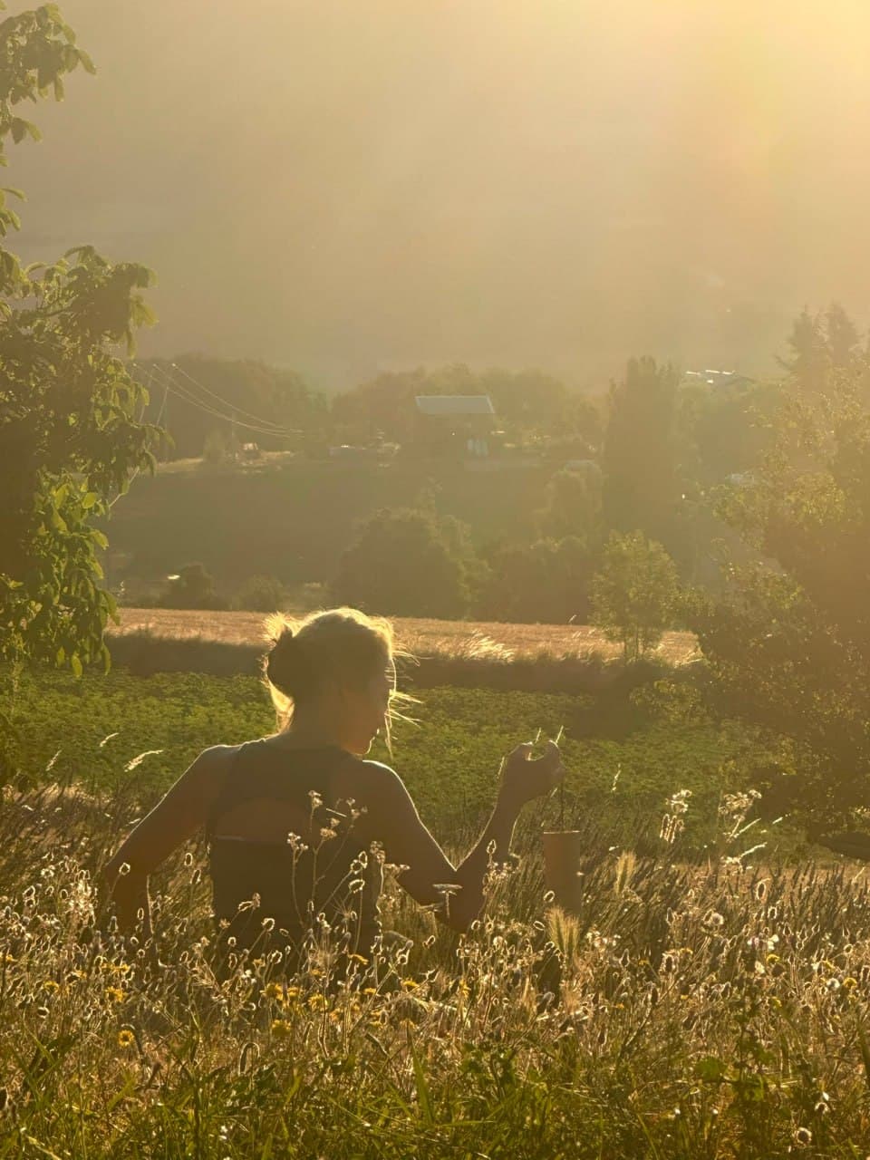 Laurence assise de dos dans un champ de hautes herbes au soleil couchant
