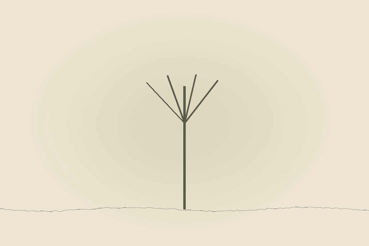 Un arbre dans la brume du matin, face aux montagnes